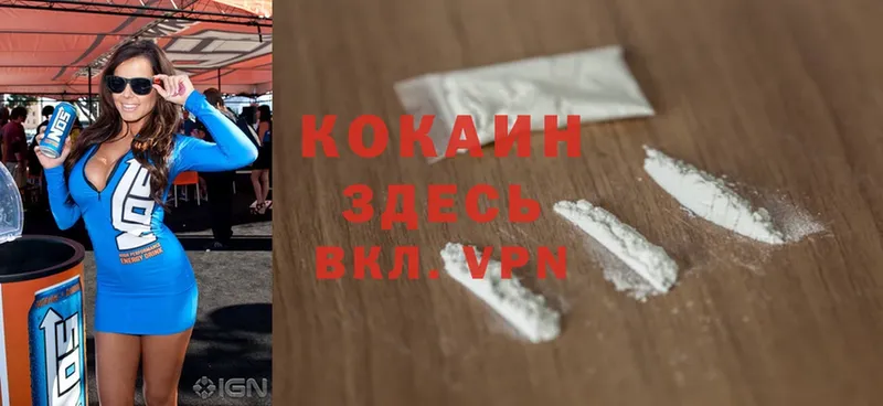 Где купить наркоту Бакал ГАШИШ  Конопля  Cocaine  Альфа ПВП  Меф 